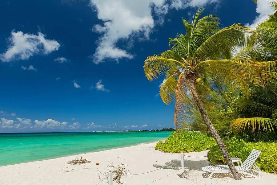 A tropical beach with white sand, clear turquoise water, and a few palm trees. Two empty white lounge chairs are positioned under a slightly leaning palm tree.