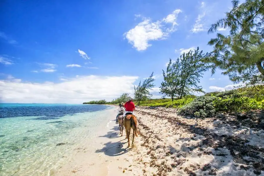 Person riding a horse along a sandy beach with clear blue water and trees in the background on a sunny day.