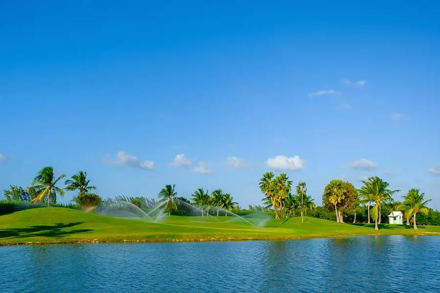 A golf course with sprinklers watering the green, surrounded by palm trees, under a clear blue sky next to a body of water.