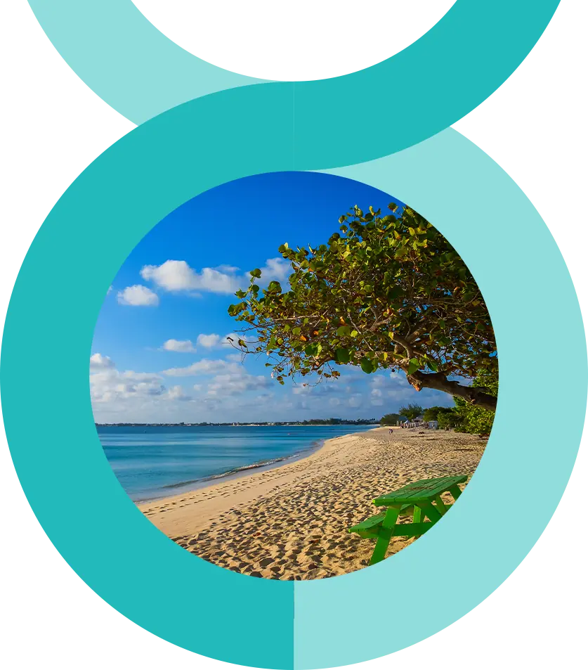 Sandy beach with clear blue water, lush green tree, and a bright sky with scattered clouds. Green bench in foreground.